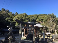 奈良 午年にまつわる神社